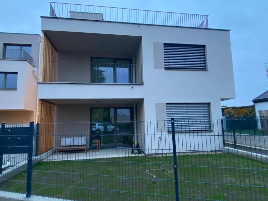 Modern Studio Gardenia_Gartenwohnung Alte Donau Wina Bagian luar foto